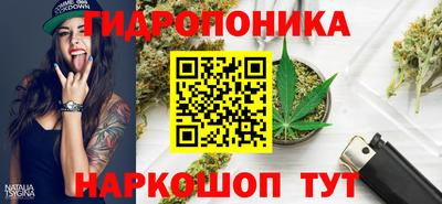 стафф Будённовск